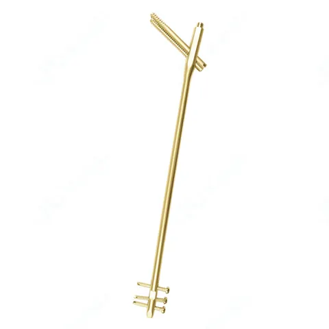 One gold-colored intramedullary nail assembly with a long cylindrical shaft and threaded proximal screw against a plain white background.