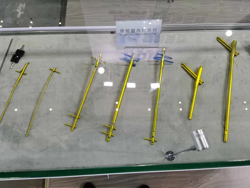 Seven elongated gold-coloured metal assemblies are arranged in a glass case beneath a sign reading “Intramedullary Nail Products”.