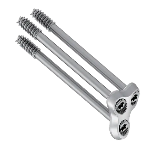 Femoral head plate assembled with three long neck screws mounted through it