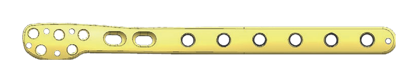Gold-coloured plate isolated on white, with a broad perforated left end, two oval slots and a narrow shaft carrying six large circular holes in a straight row