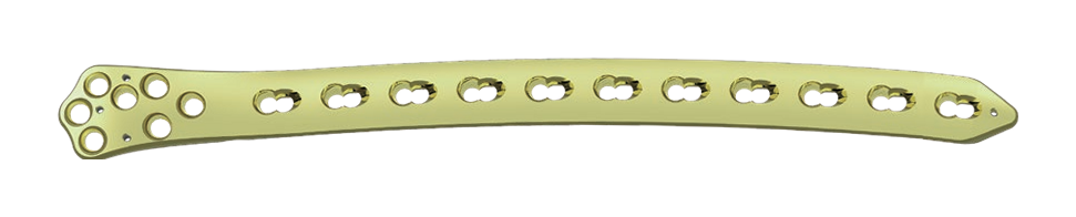 Long gently curved plate on black, with a broad rounded left head, tapered right tip, seven clustered circular openings, and eleven oval shaft apertures
