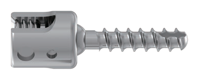Pedicle screw with a slotted cylindrical head above a coarse-threaded shaft
