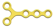 Y plate with two diverging arms rising from a common stem