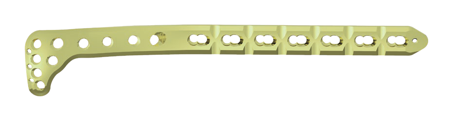 Elongated plate shown horizontally on black, with a widened rounded left end, downward-curving projection, clustered circular openings and a tapered rounded right tip