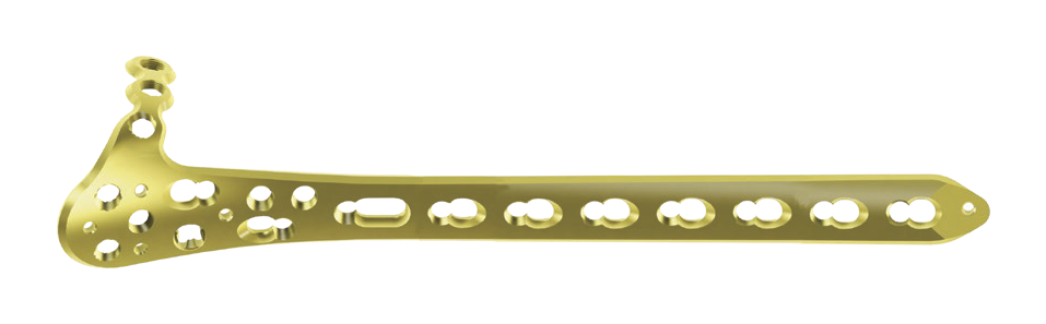 Gold-colored metallic plate displayed horizontally on black, with a broad flared left end, upturned extension, tapered rounded right tip, and clustered apertures