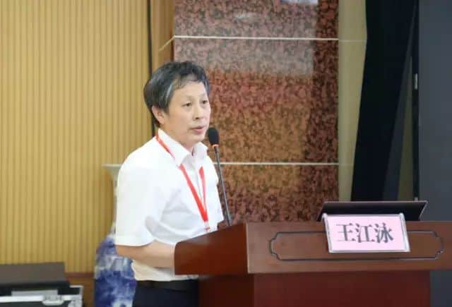 One participant in a white collared shirt speaks behind a dark wooden lectern with a microphone and angled black display.