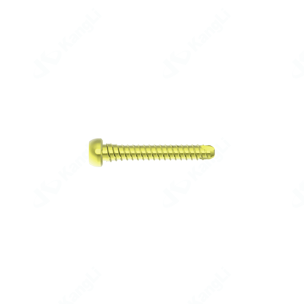 Φ4.5 Holding Type DoubleThread Locking Screw