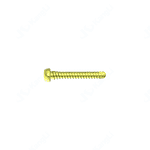 Φ4.5 Holding Type DoubleThread Locking Screw