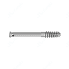 Lag Screw