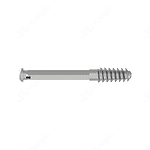 Lag Screw