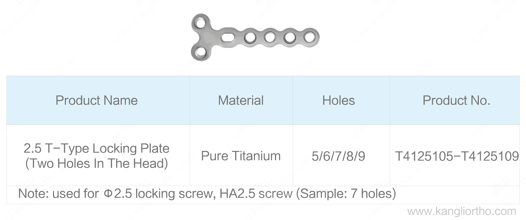 2-5-t-type-locking-plate-two-holes-in-the-head-specifications