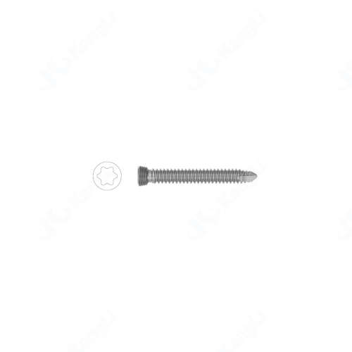 2.7 Torx Locking Screw