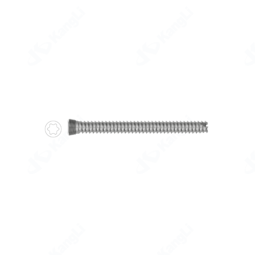 6.5 Torx Hollow Locking Screw