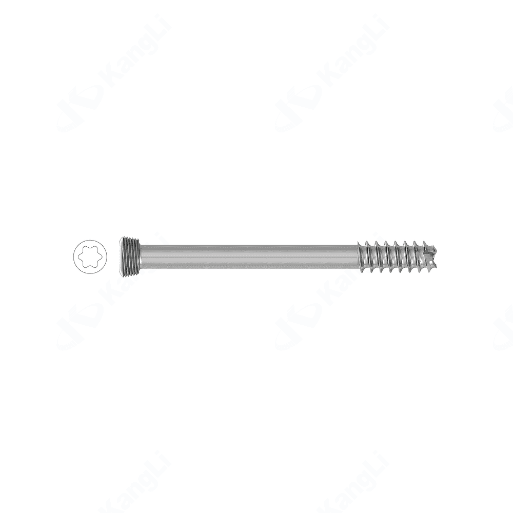 7.0 Torx Hollow Locking Screw