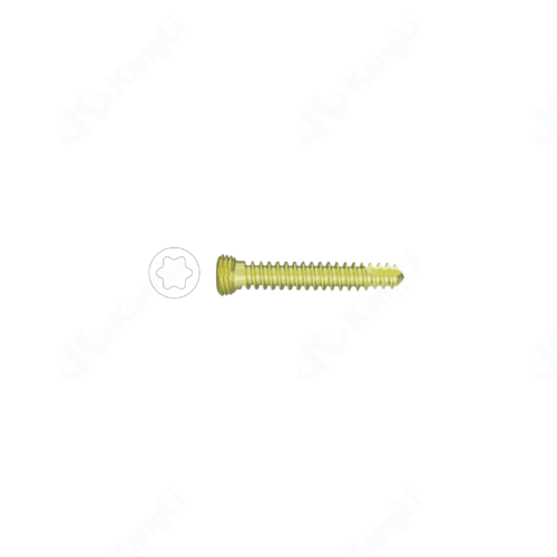 2.7 Torx Locking Screw (Anodized)