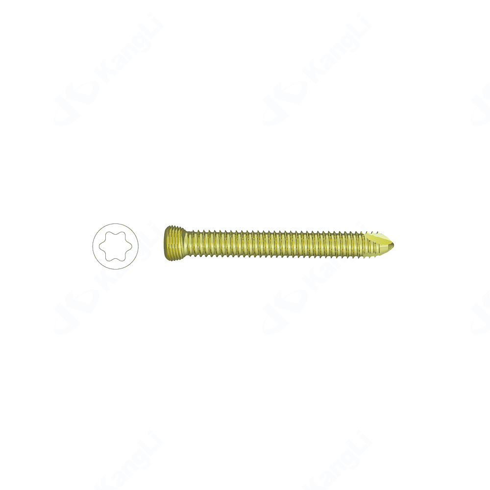 3.5 Torx Locking Screw (Anodized)