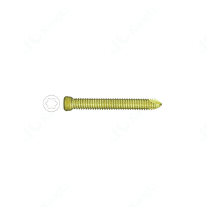 5.0 Torx Locking Screw (Anodized)