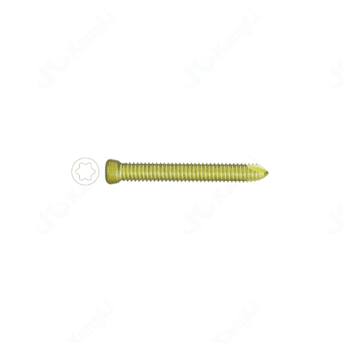 5.0 Torx Locking Screw (Anodized)