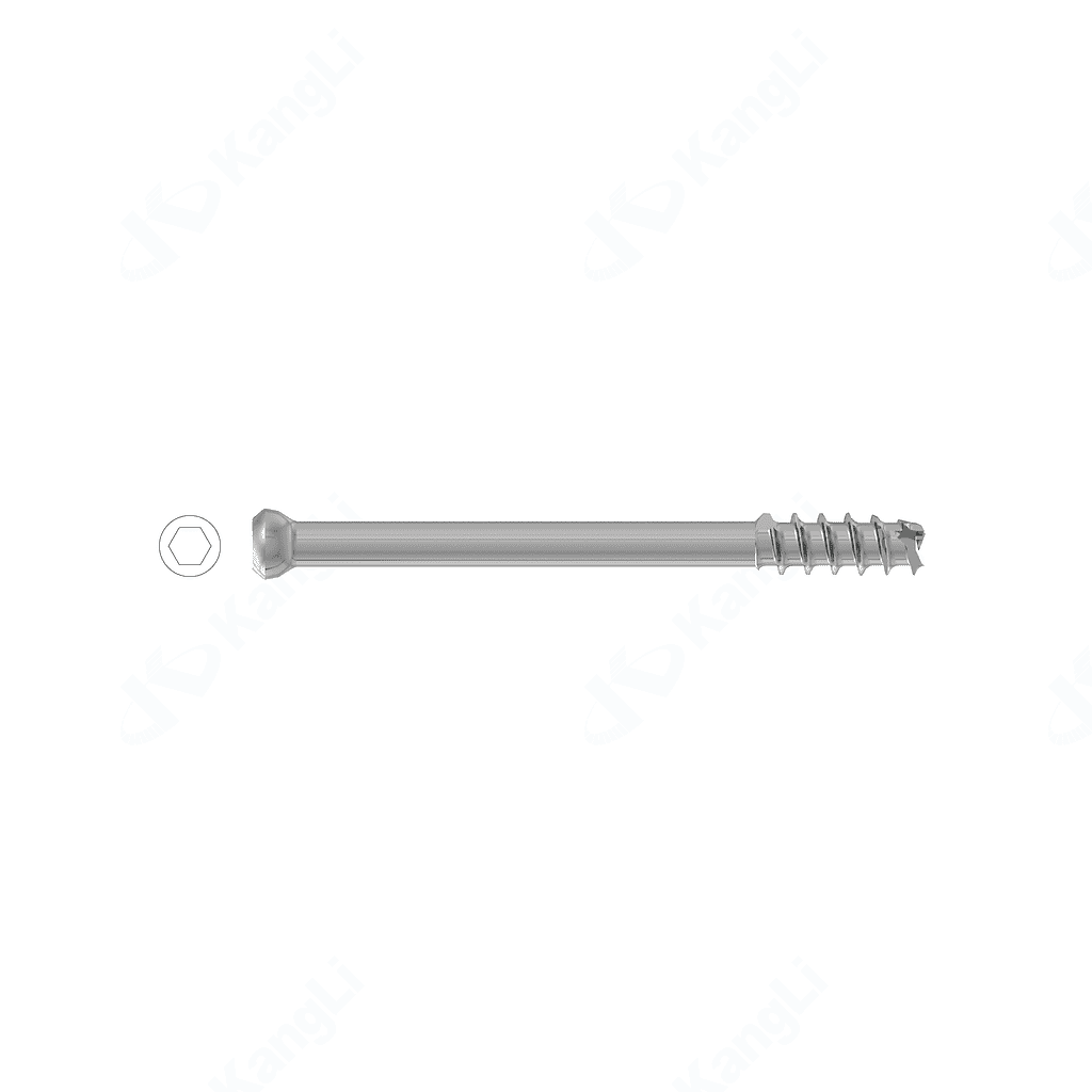 Femoral Neck Cannulated Compression Screw (Φ6.5)