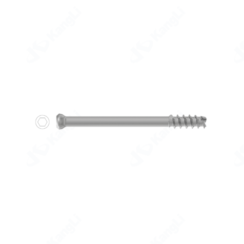 Femoral Neck Cannulated Compression Screw (Φ6.5)