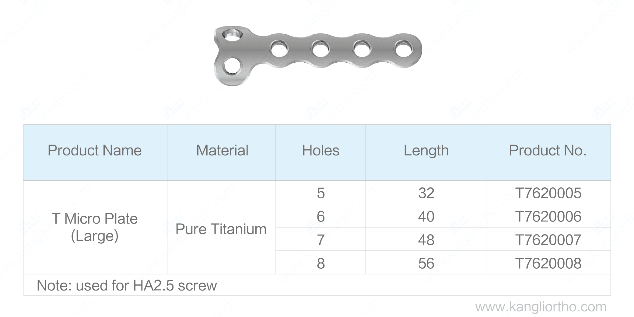 t-micro-plate-large-specifications