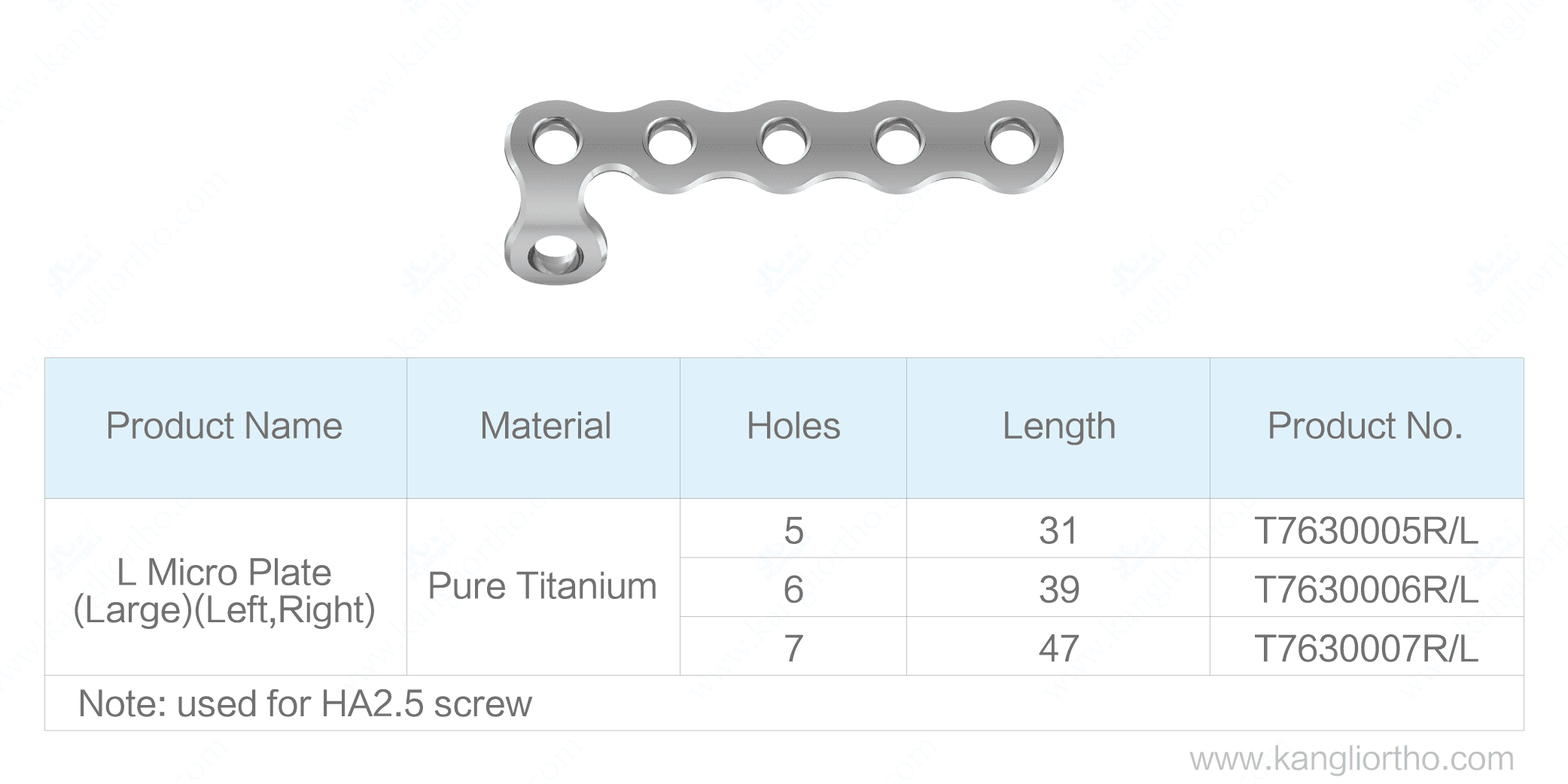 l-micro-plate-large-specifications