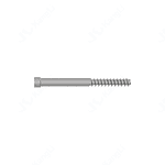 Anti-Rotation Screw