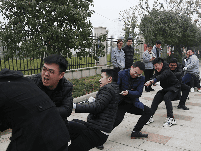 Employees participating in a thrilling Tug-of-War competition during the sports game.